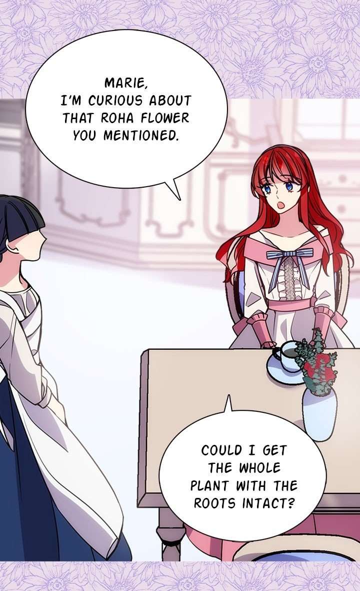 Read Adelaide ENGLISH Manga Online