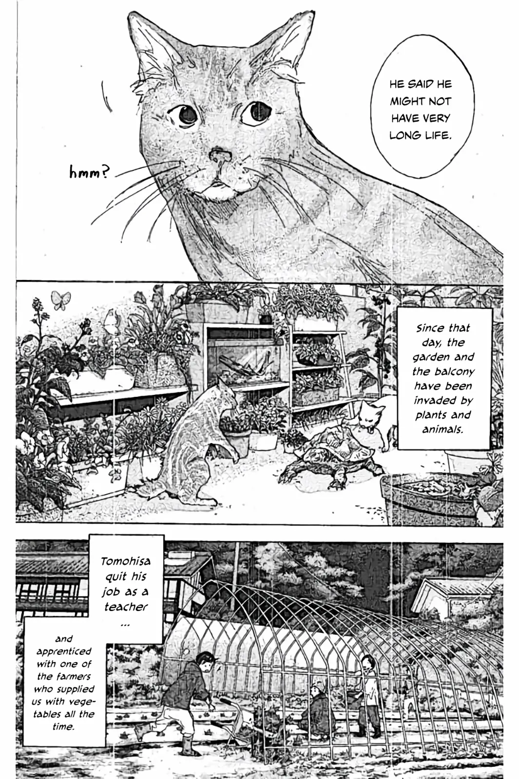 Read Ahiru no Sora ENGLISH Manga Online