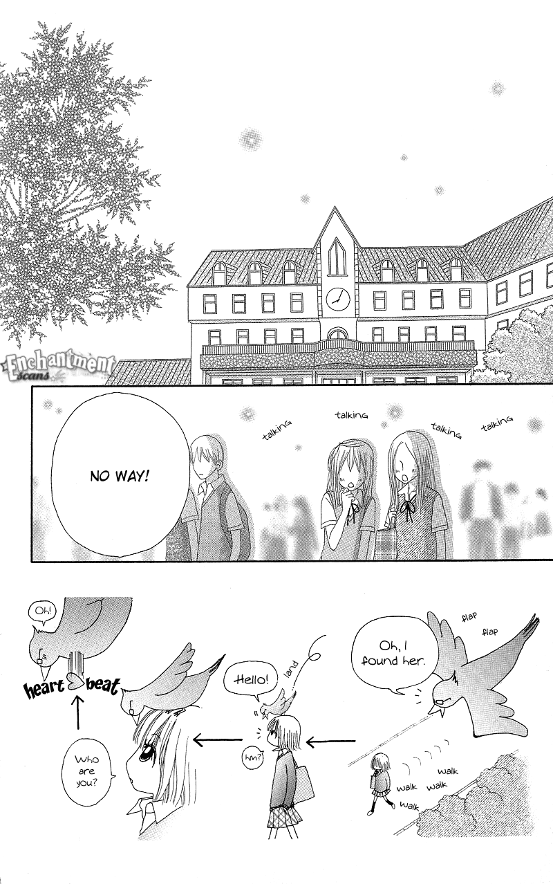 Read Beauty Pop ENGLISH Manga Online