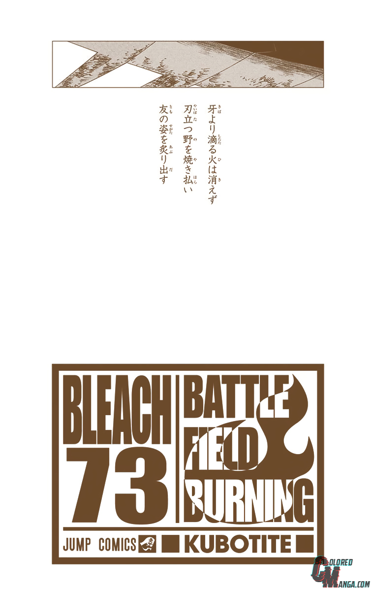Read Bleach (Colored) ENGLISH Manga Online