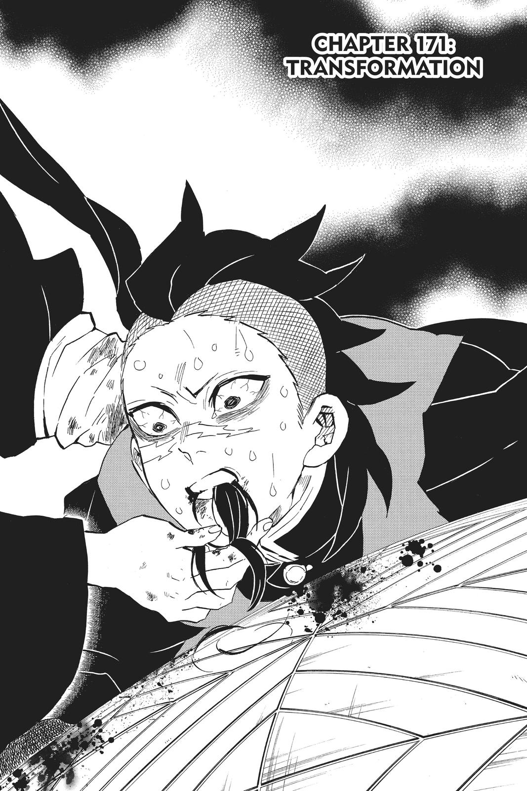 Read Demon Slayer Kimetsu no Yaiba ENGLISH Manga Online