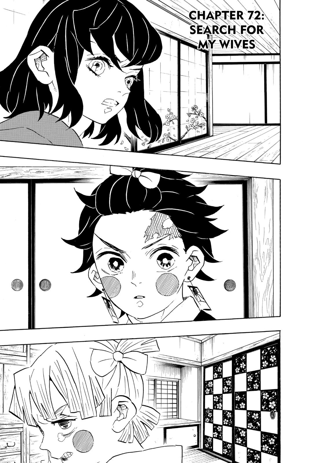 Read Demon Slayer Kimetsu no Yaiba ENGLISH Manga Online
