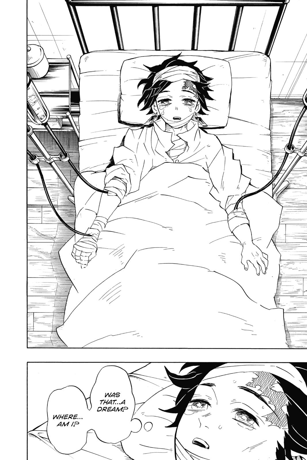 Read Demon Slayer Kimetsu no Yaiba ENGLISH Manga Online