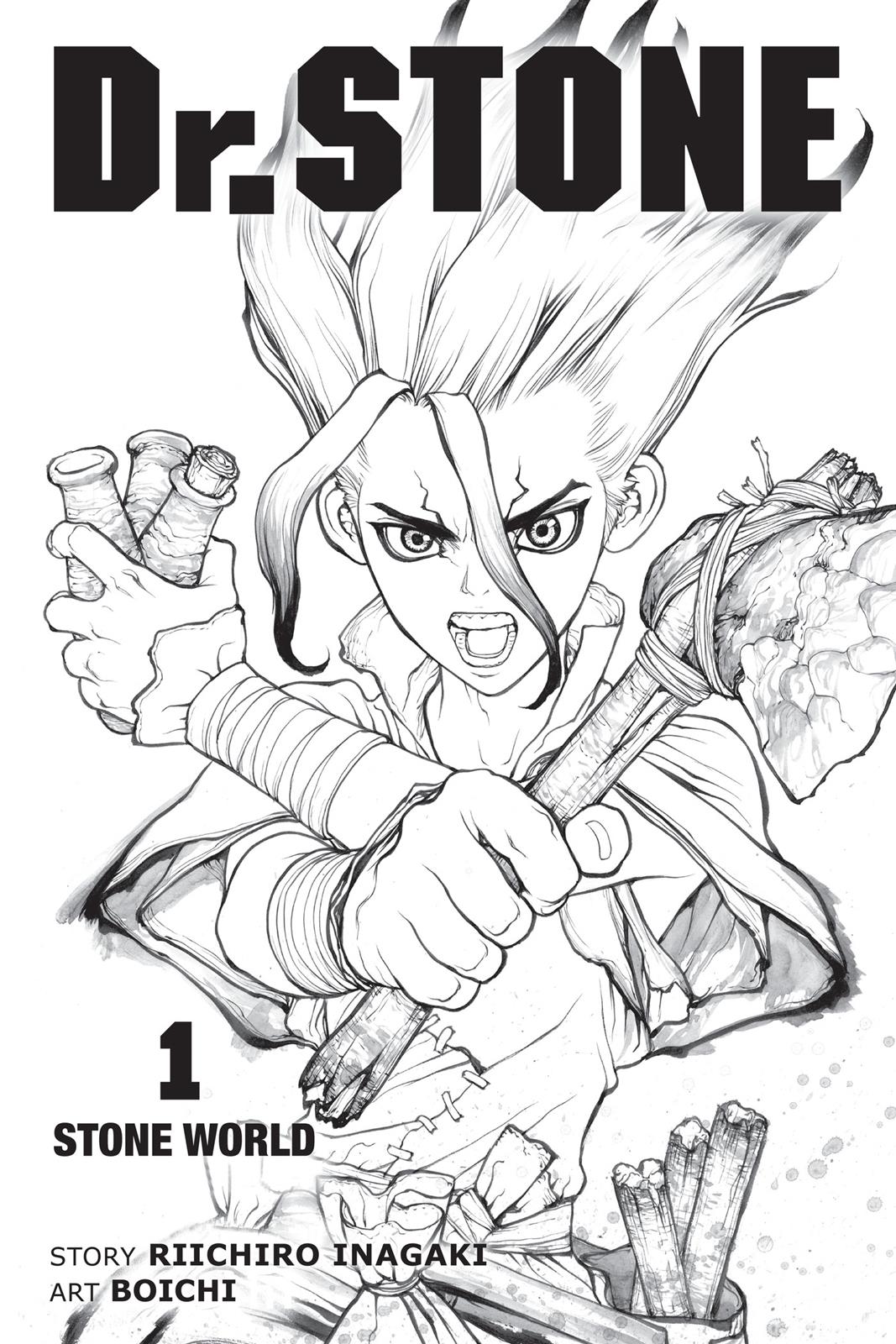 Read Dr. STONE ENGLISH Manga Online