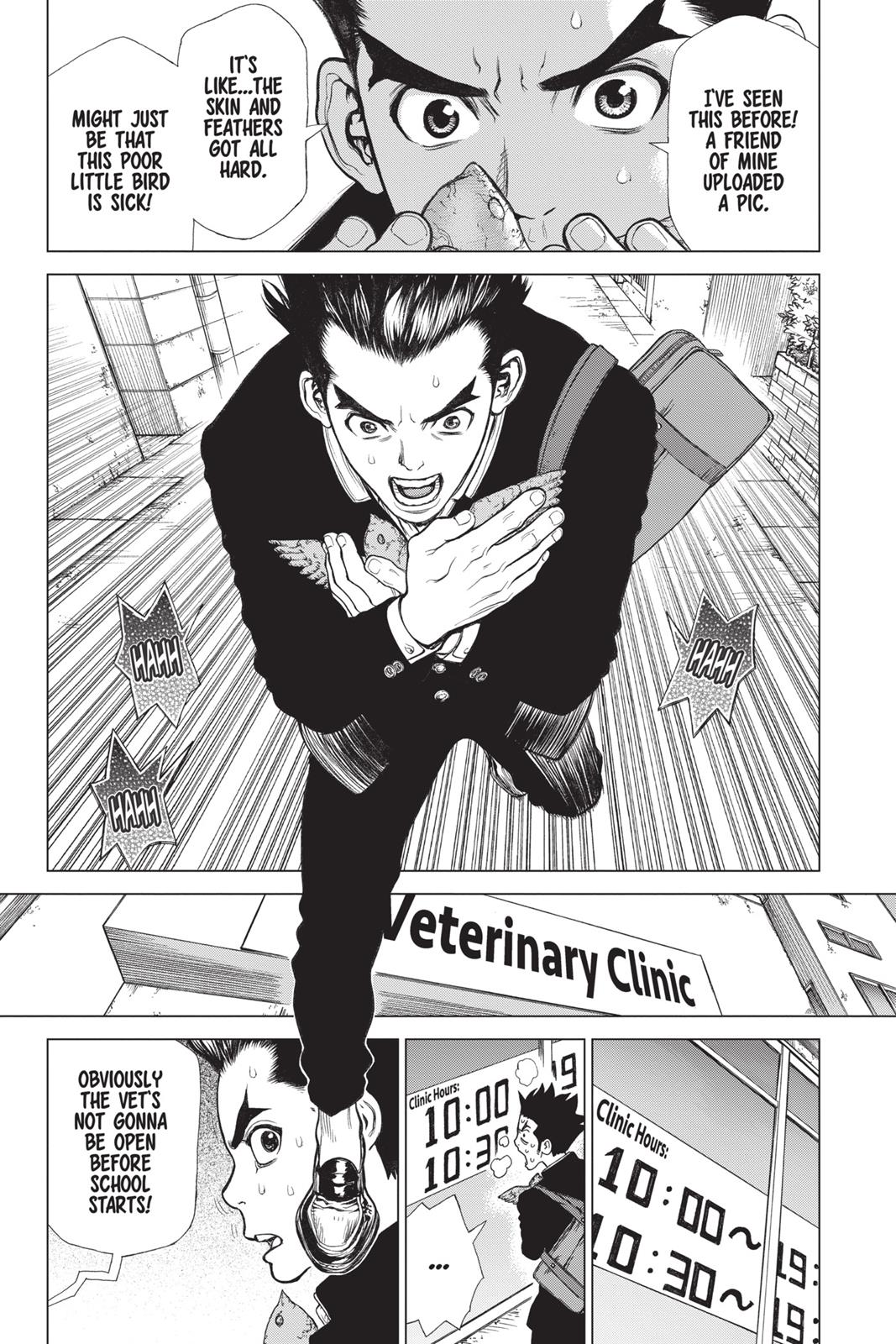 Read Dr. STONE ENGLISH Manga Online