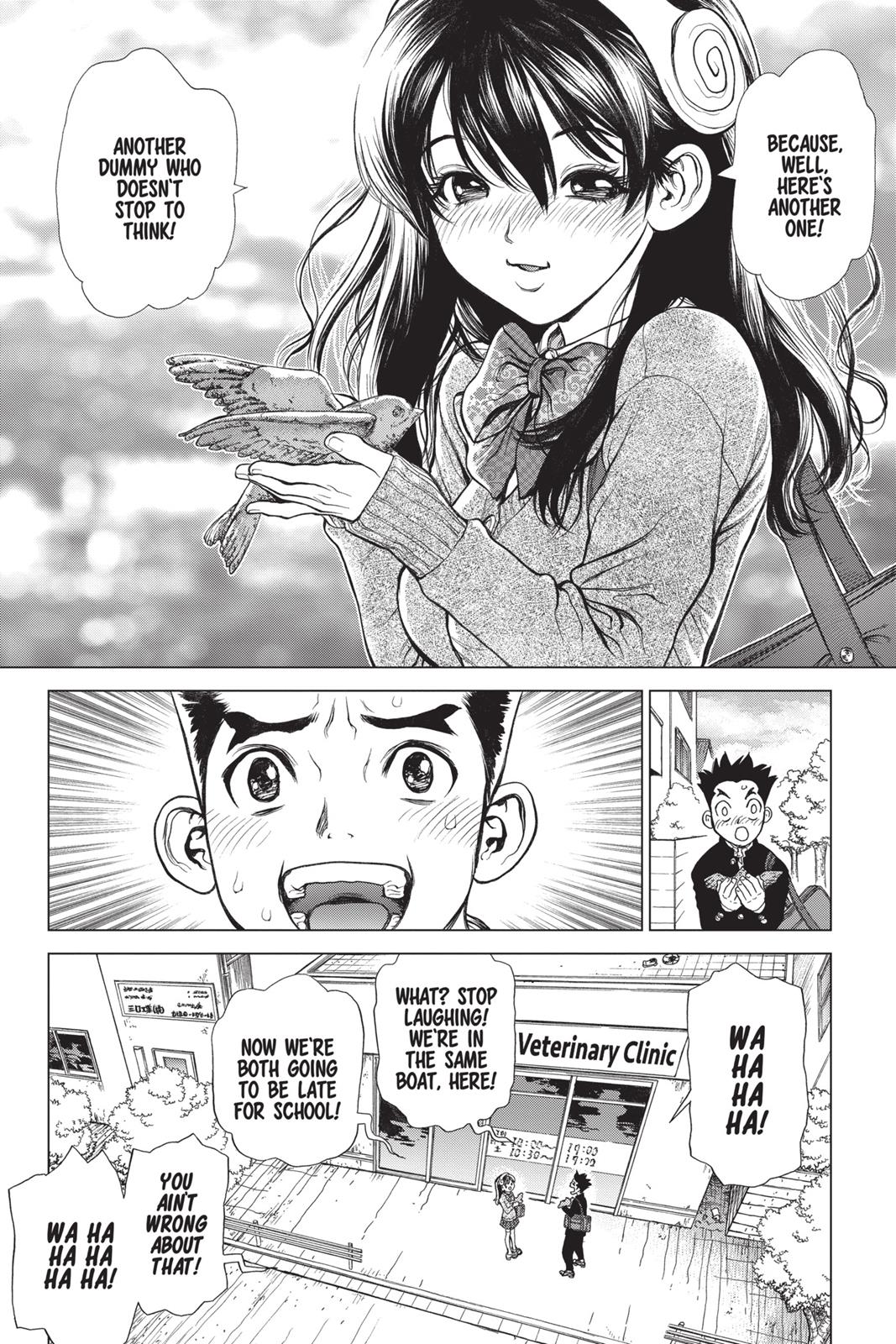 Read Dr. STONE ENGLISH Manga Online