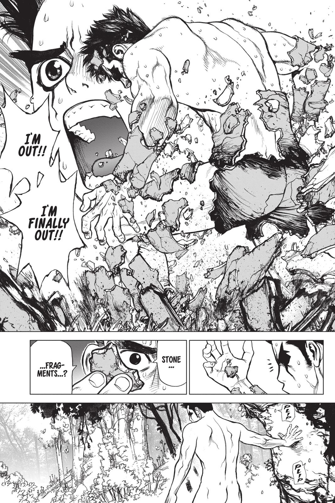 Read Dr. STONE ENGLISH Manga Online
