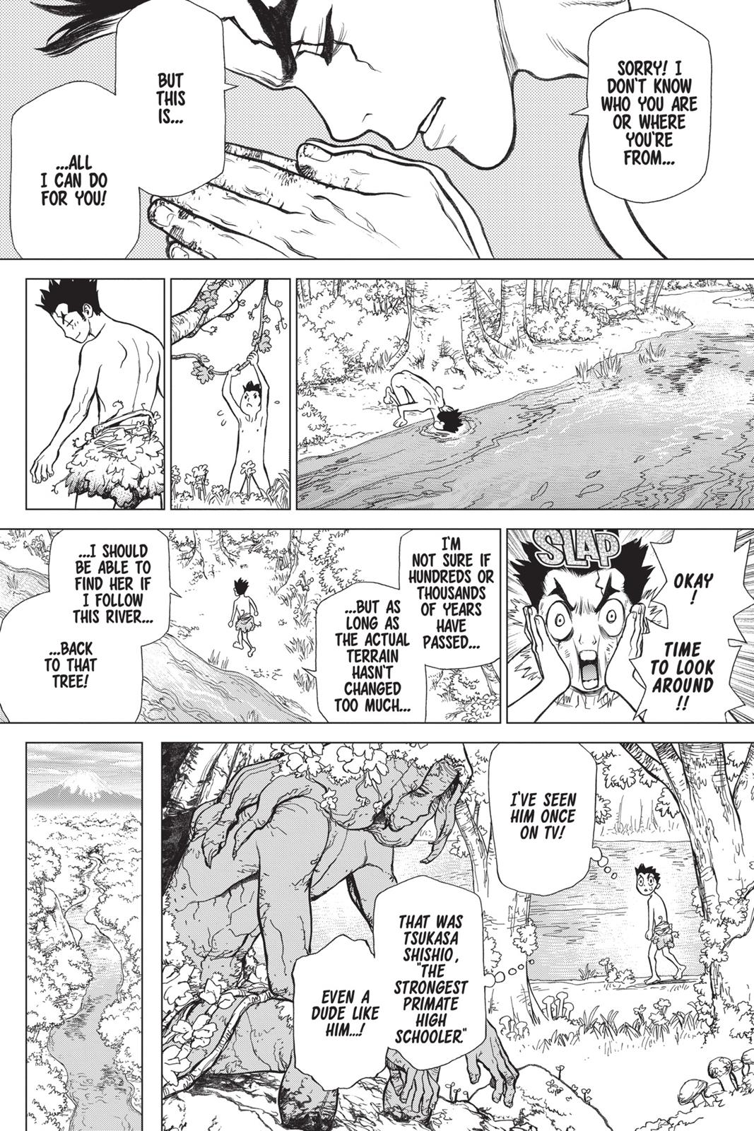 Read Dr. STONE ENGLISH Manga Online