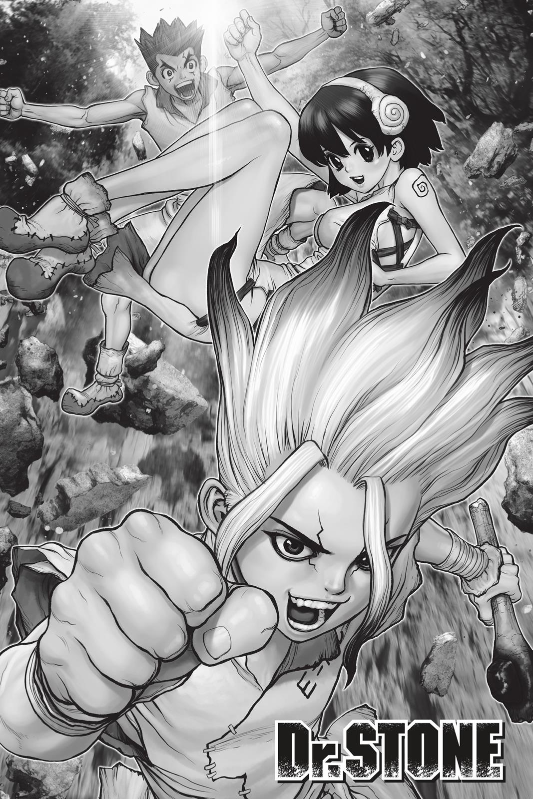 Read Dr. STONE ENGLISH Manga Online