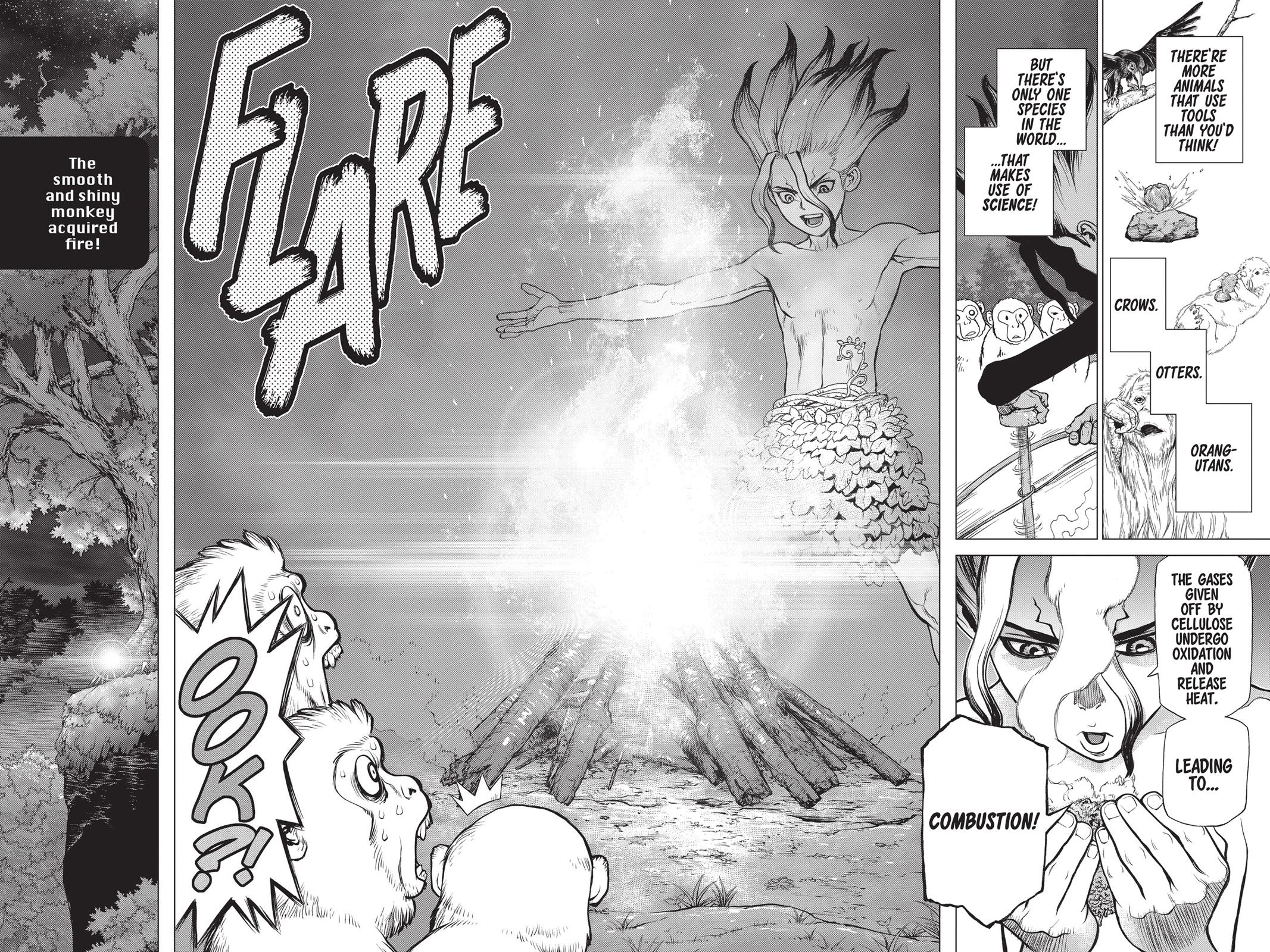Read Dr. STONE ENGLISH Manga Online