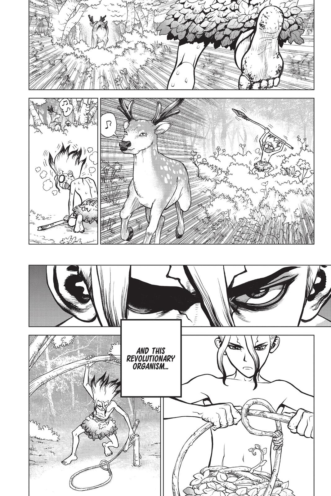 Read Dr. STONE ENGLISH Manga Online