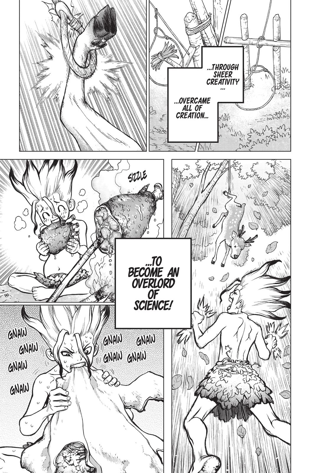 Read Dr. STONE ENGLISH Manga Online