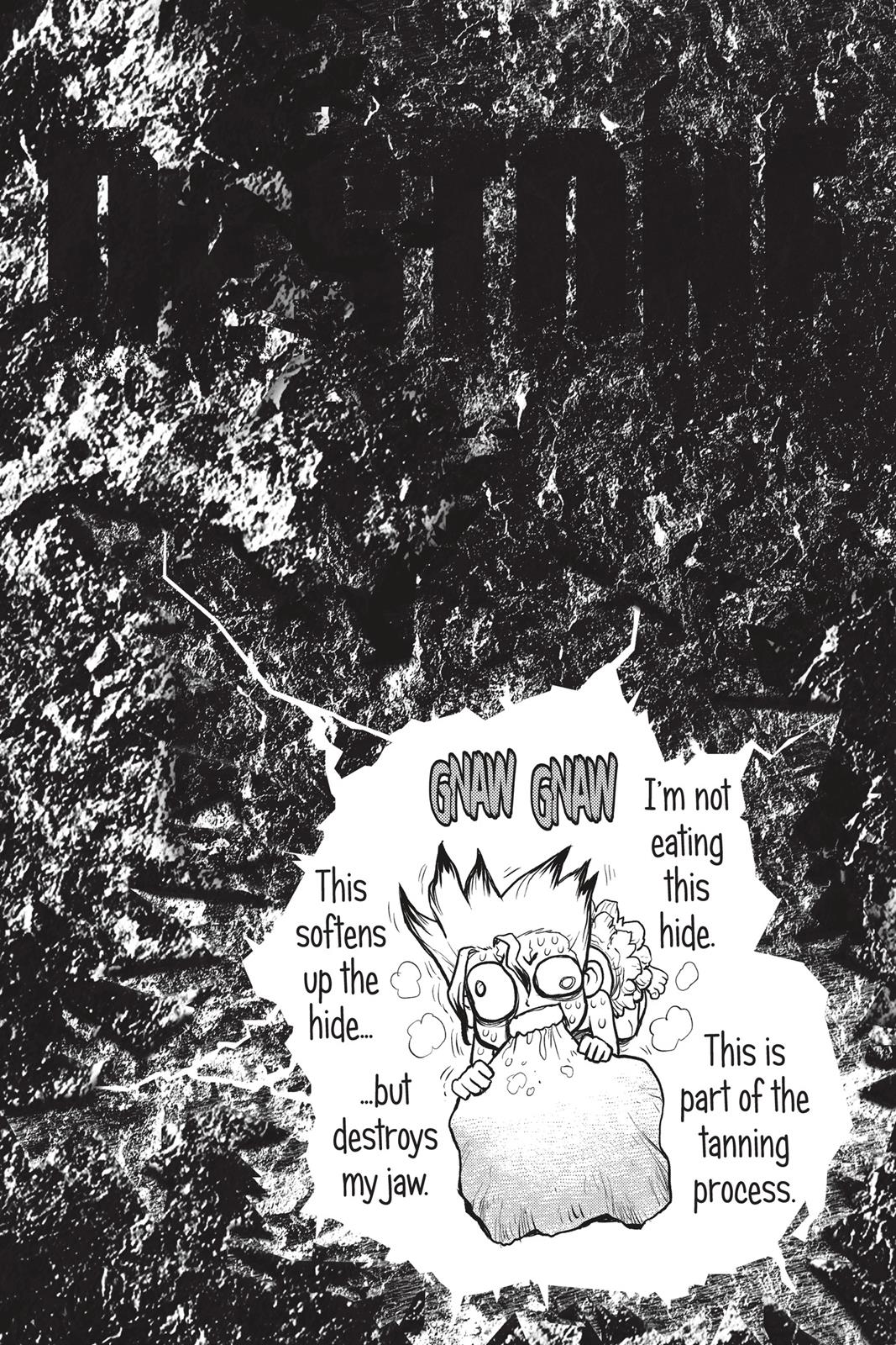 Read Dr. STONE ENGLISH Manga Online