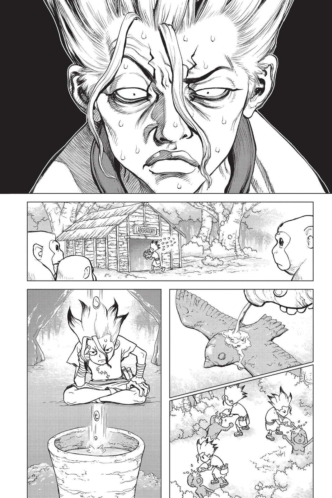 Read Dr. STONE ENGLISH Manga Online