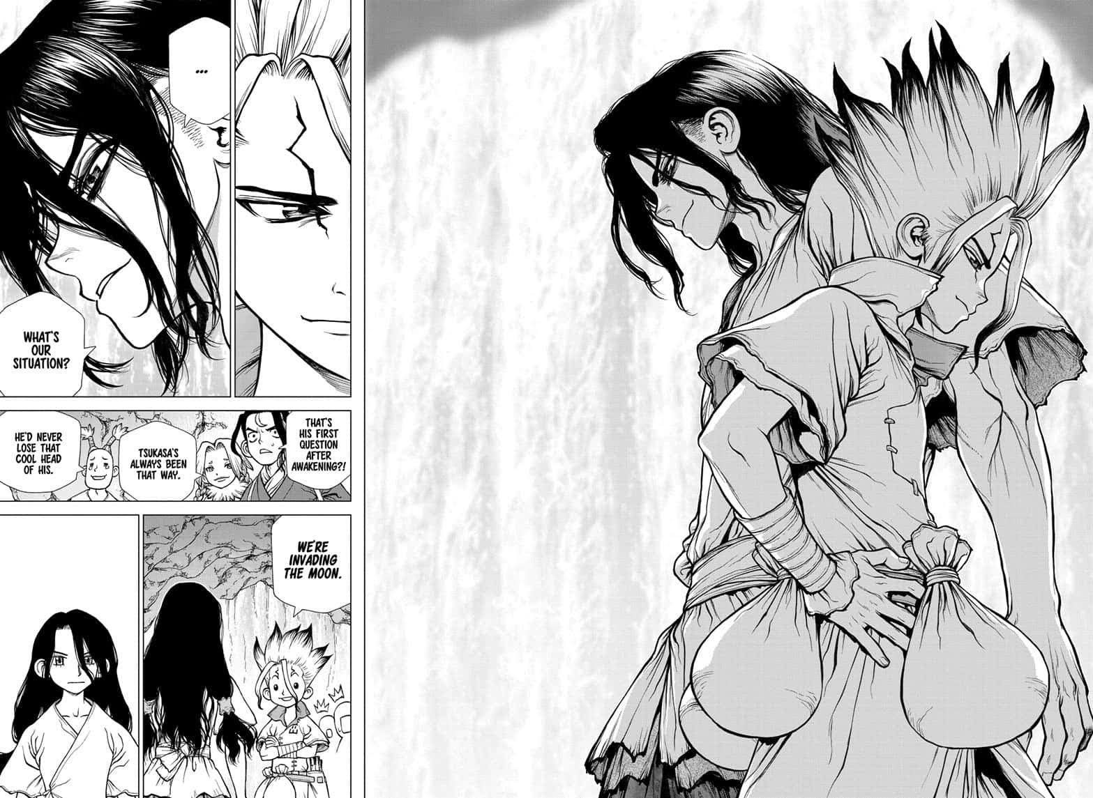 Read Dr. STONE ENGLISH Manga Online