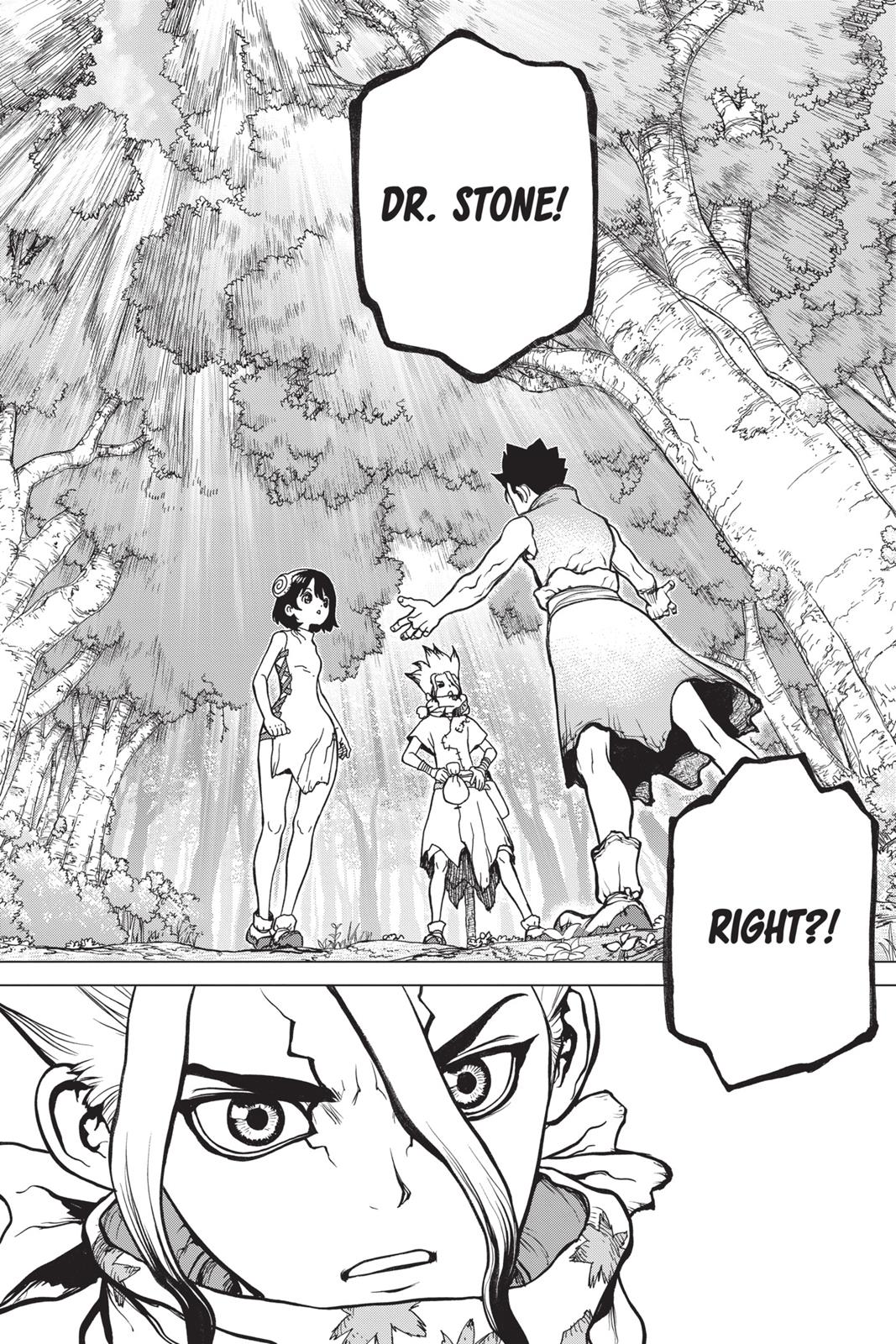 Read Dr. STONE ENGLISH Manga Online