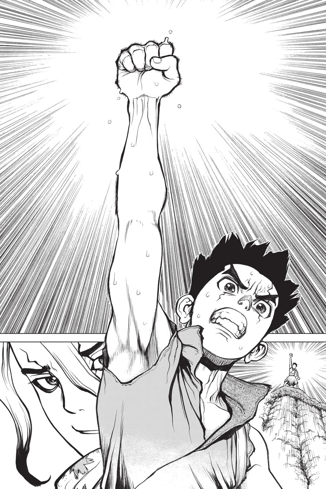 Read Dr. STONE ENGLISH Manga Online