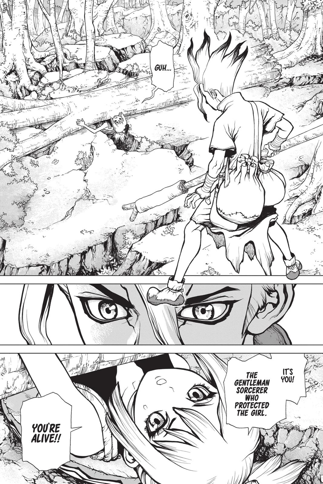 Read Dr. STONE ENGLISH Manga Online