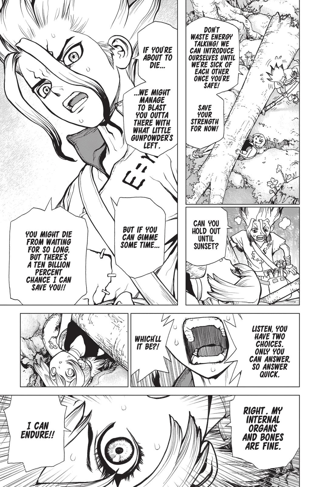 Read Dr. STONE ENGLISH Manga Online