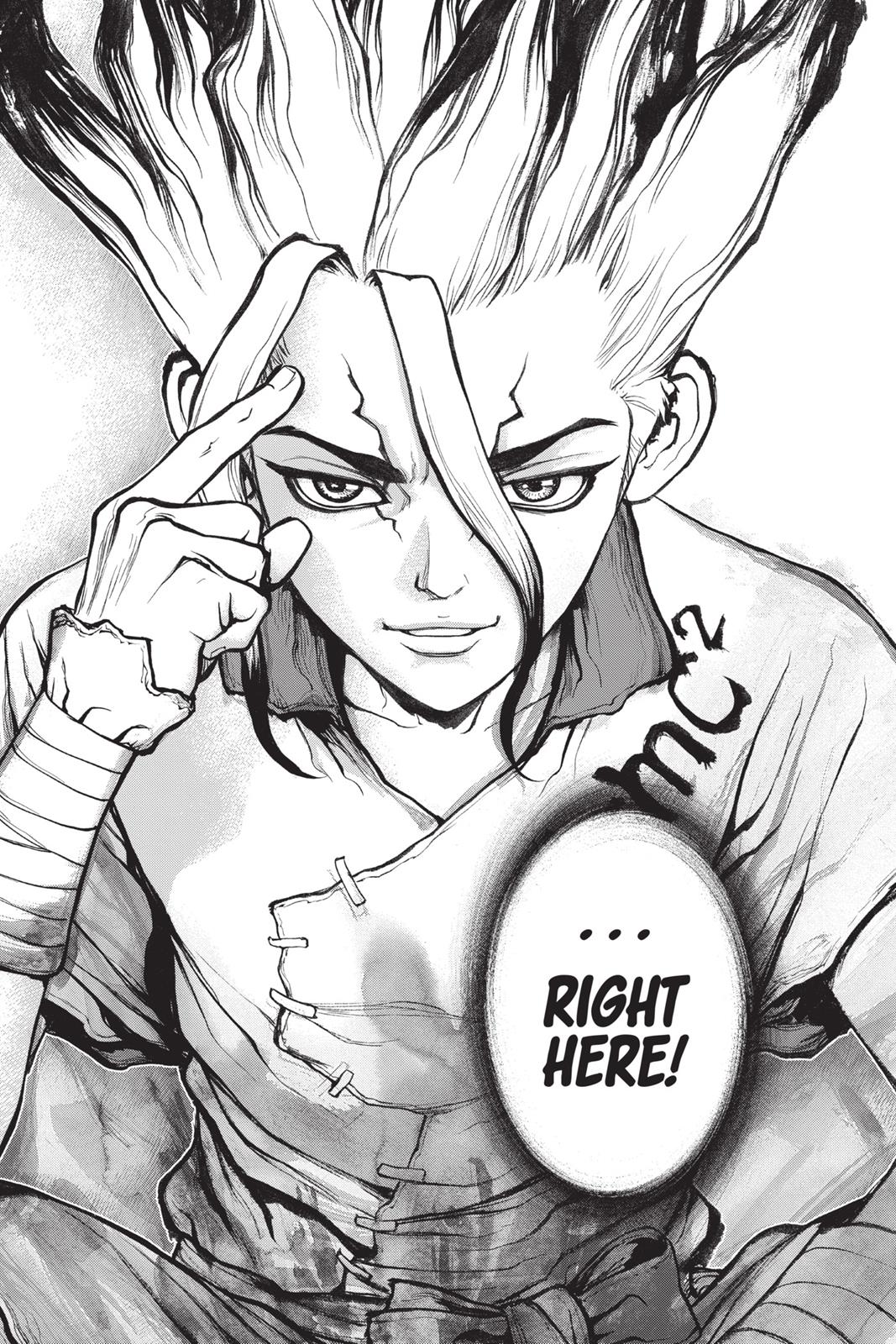 Read Dr. STONE ENGLISH Manga Online