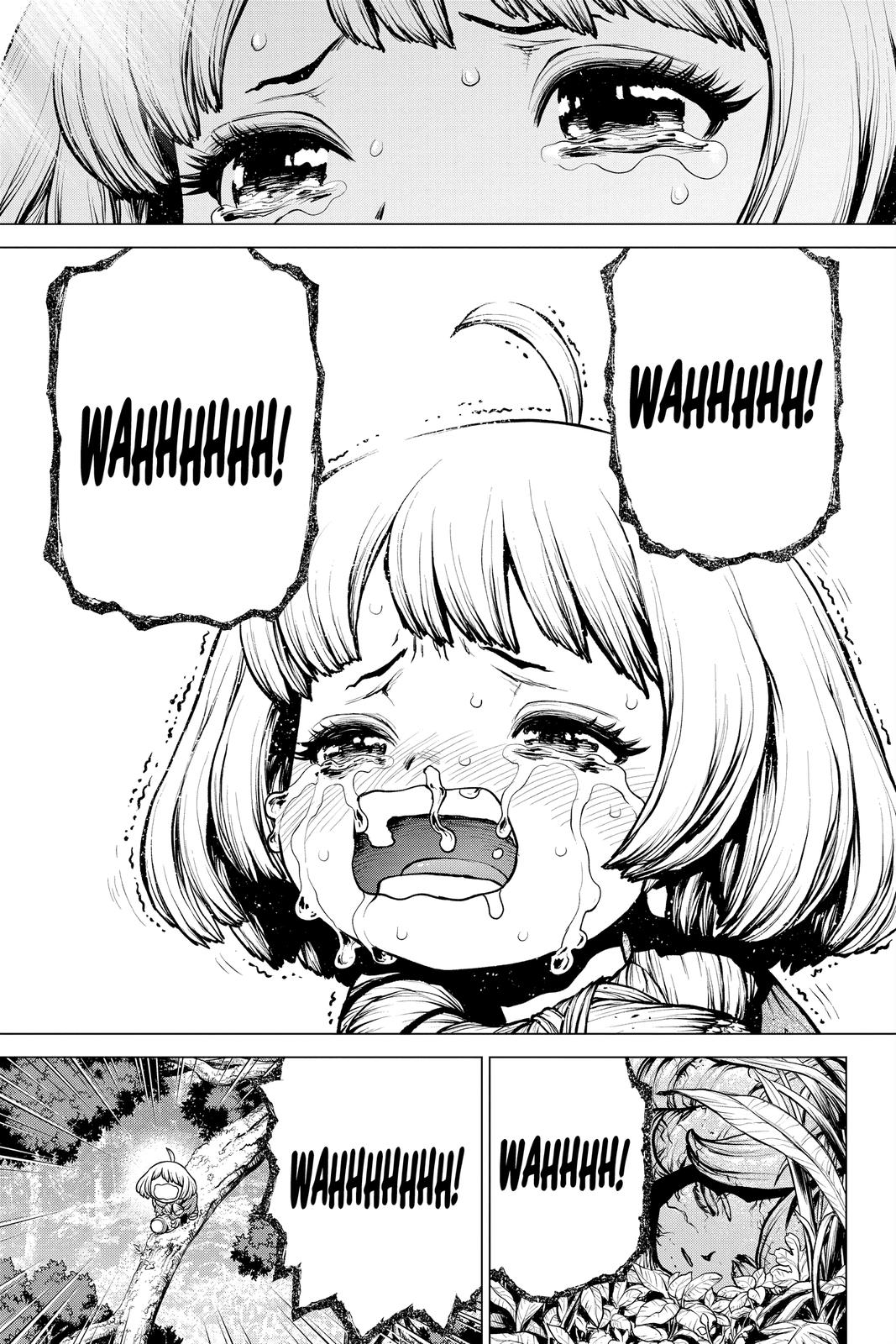 Read Dr. STONE ENGLISH Manga Online