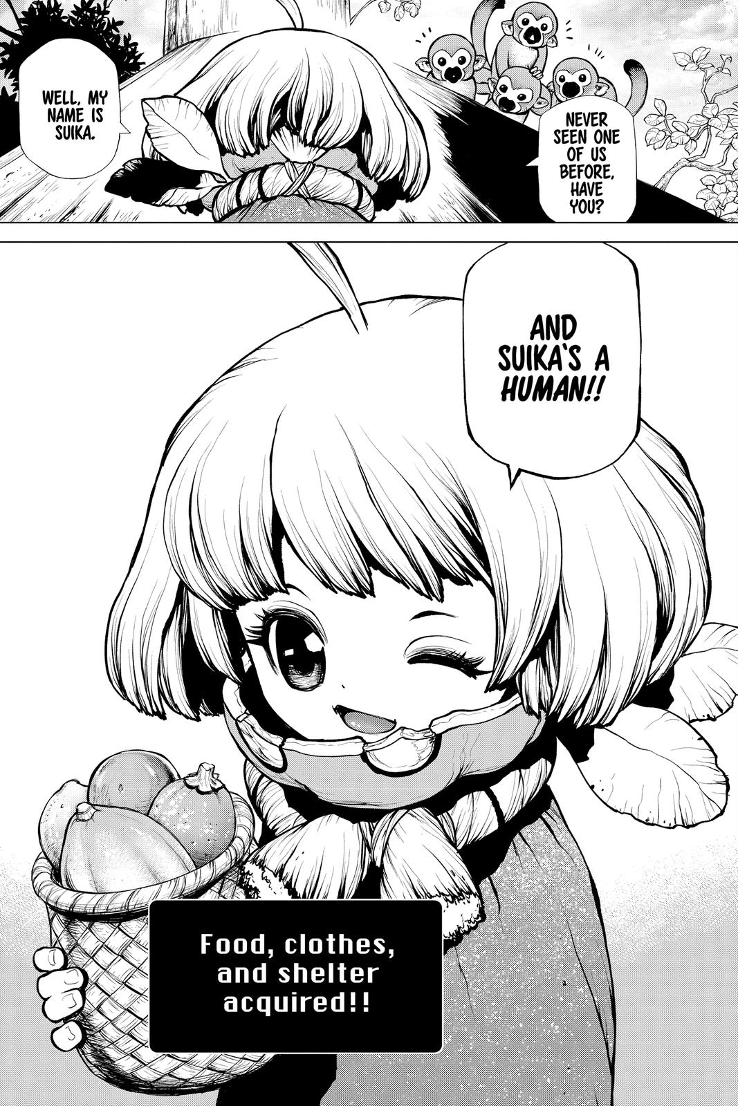 Read Dr. STONE ENGLISH Manga Online