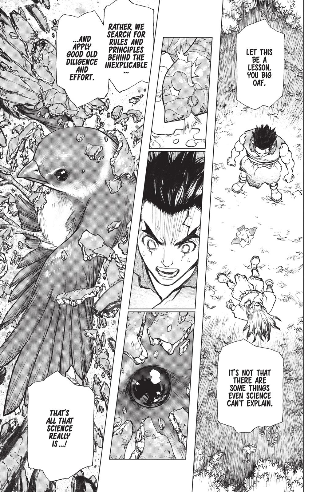 Read Dr. STONE ENGLISH Manga Online