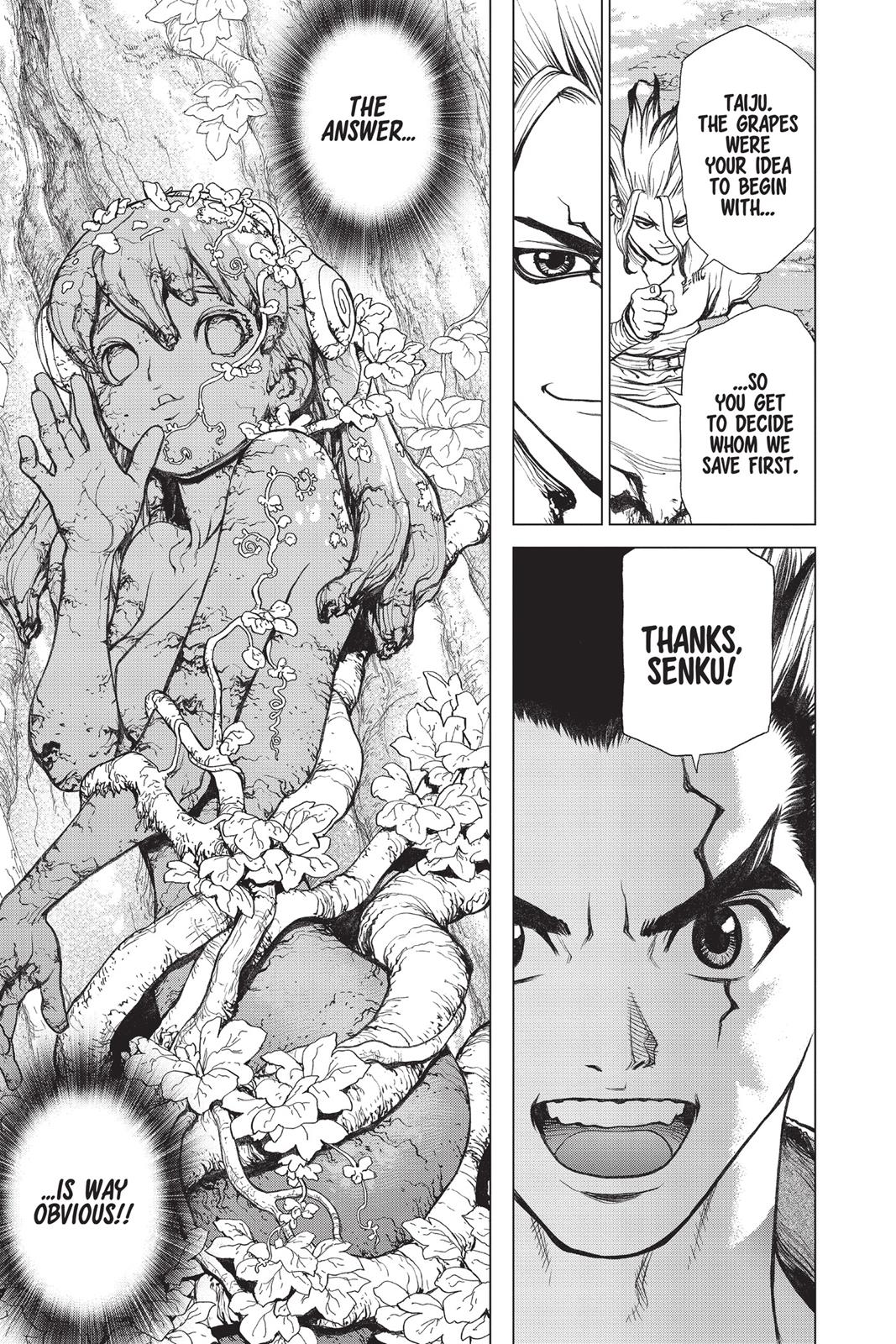 Read Dr. STONE ENGLISH Manga Online