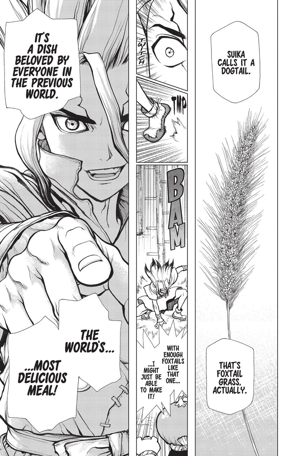 Read Dr. STONE ENGLISH Manga Online