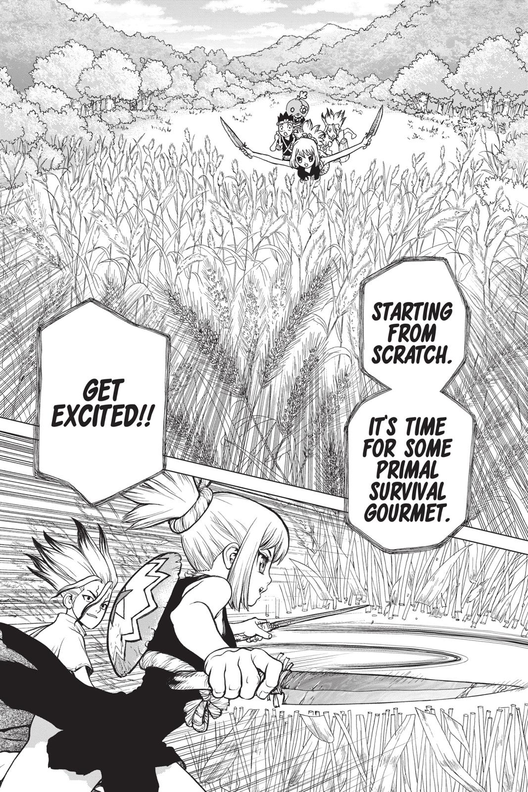 Read Dr. STONE ENGLISH Manga Online