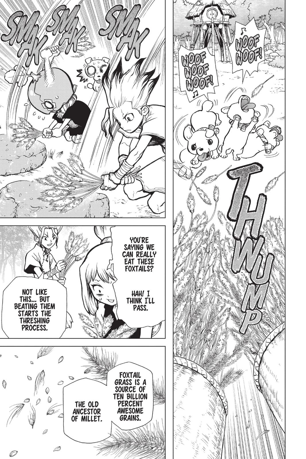 Read Dr. STONE ENGLISH Manga Online