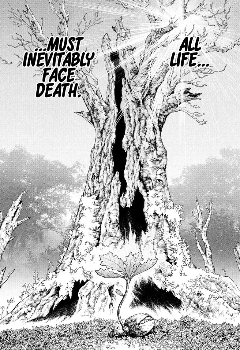 Read Dr. STONE ENGLISH Manga Online