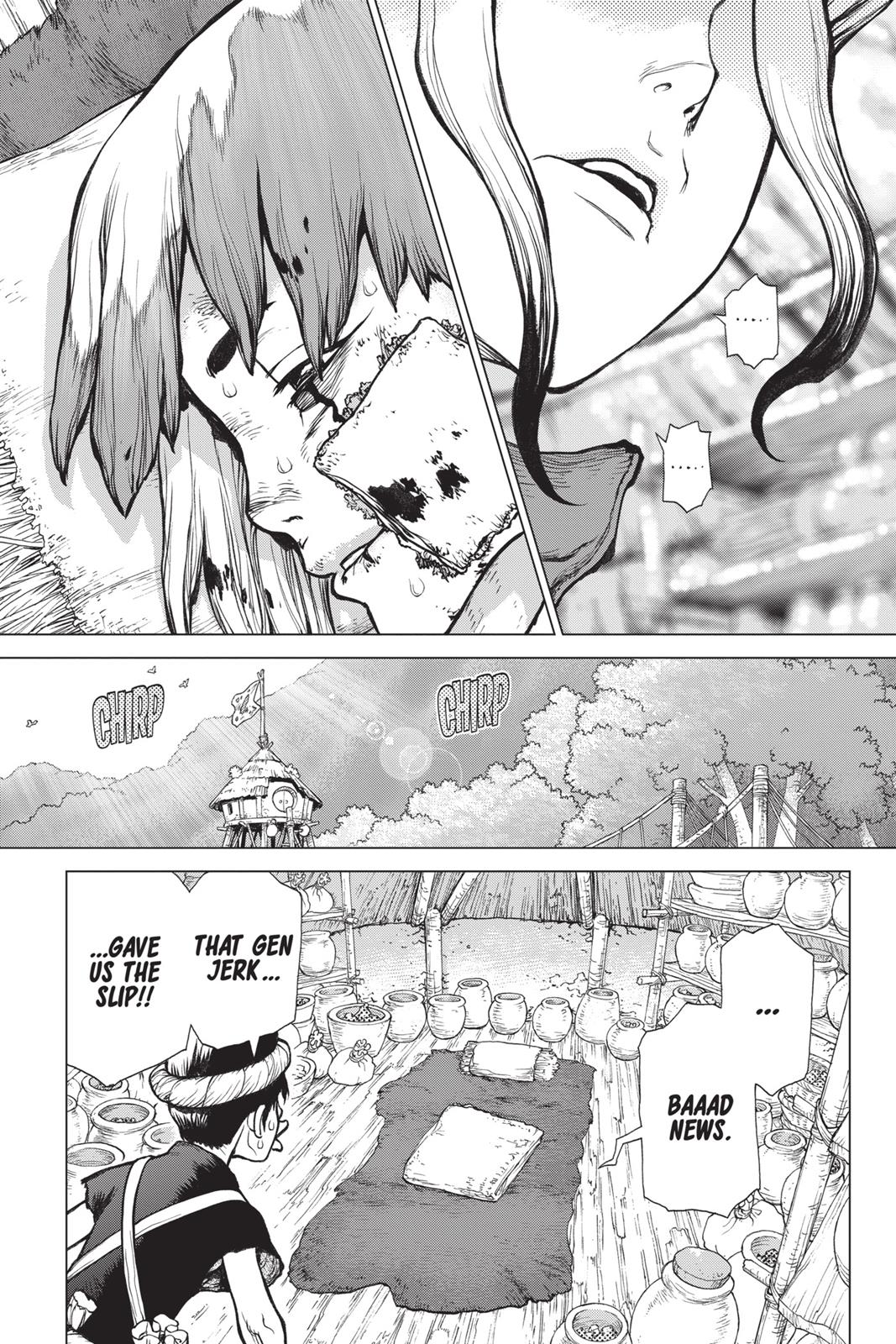 Read Dr. STONE ENGLISH Manga Online