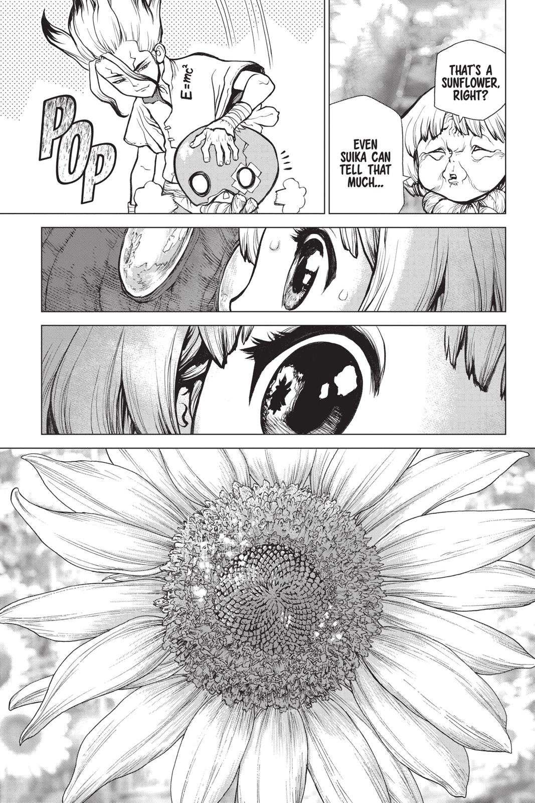 Read Dr. STONE ENGLISH Manga Online