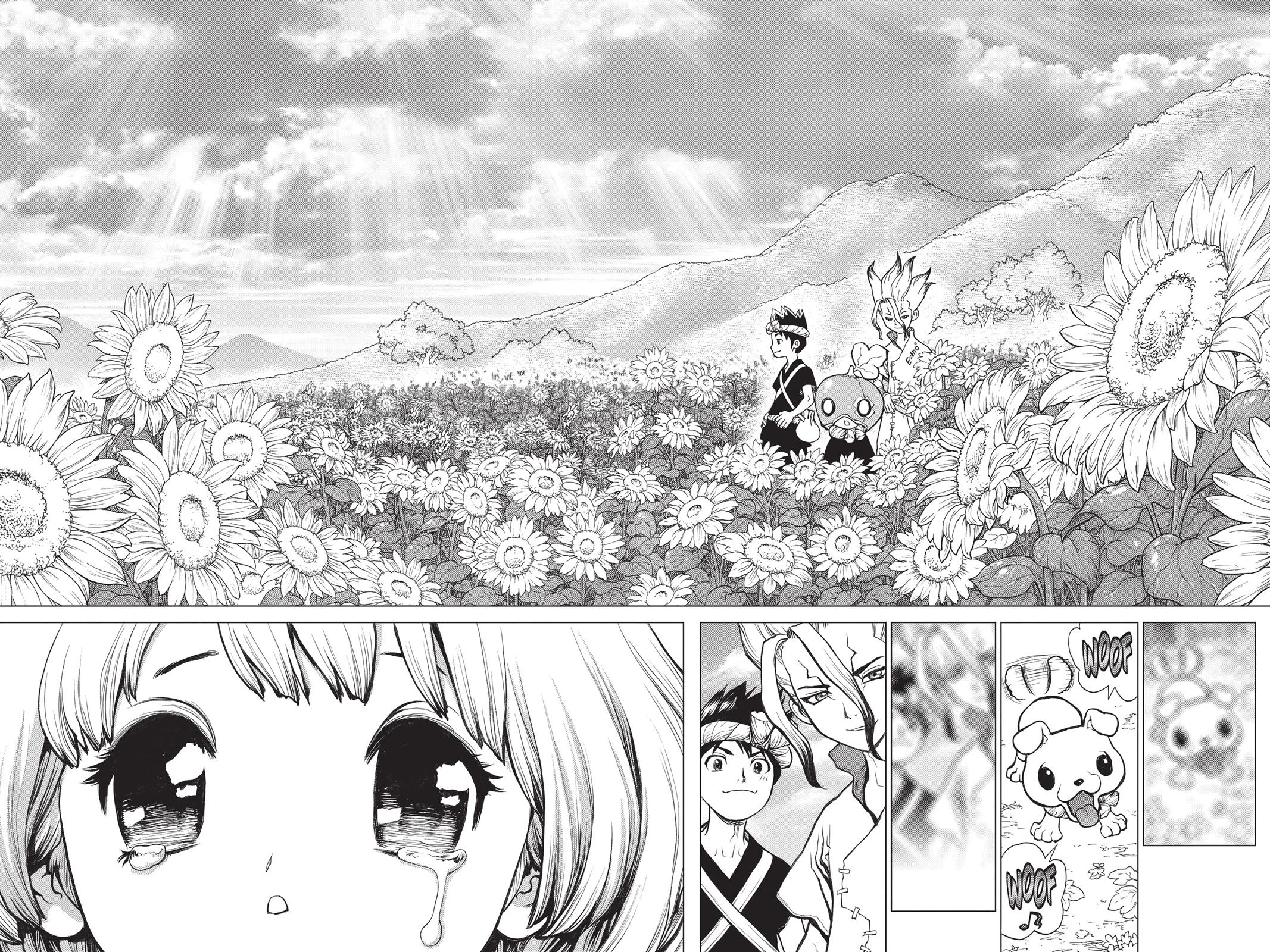 Read Dr. STONE ENGLISH Manga Online