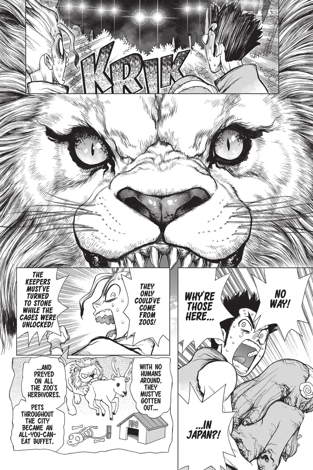 Read Dr. STONE ENGLISH Manga Online
