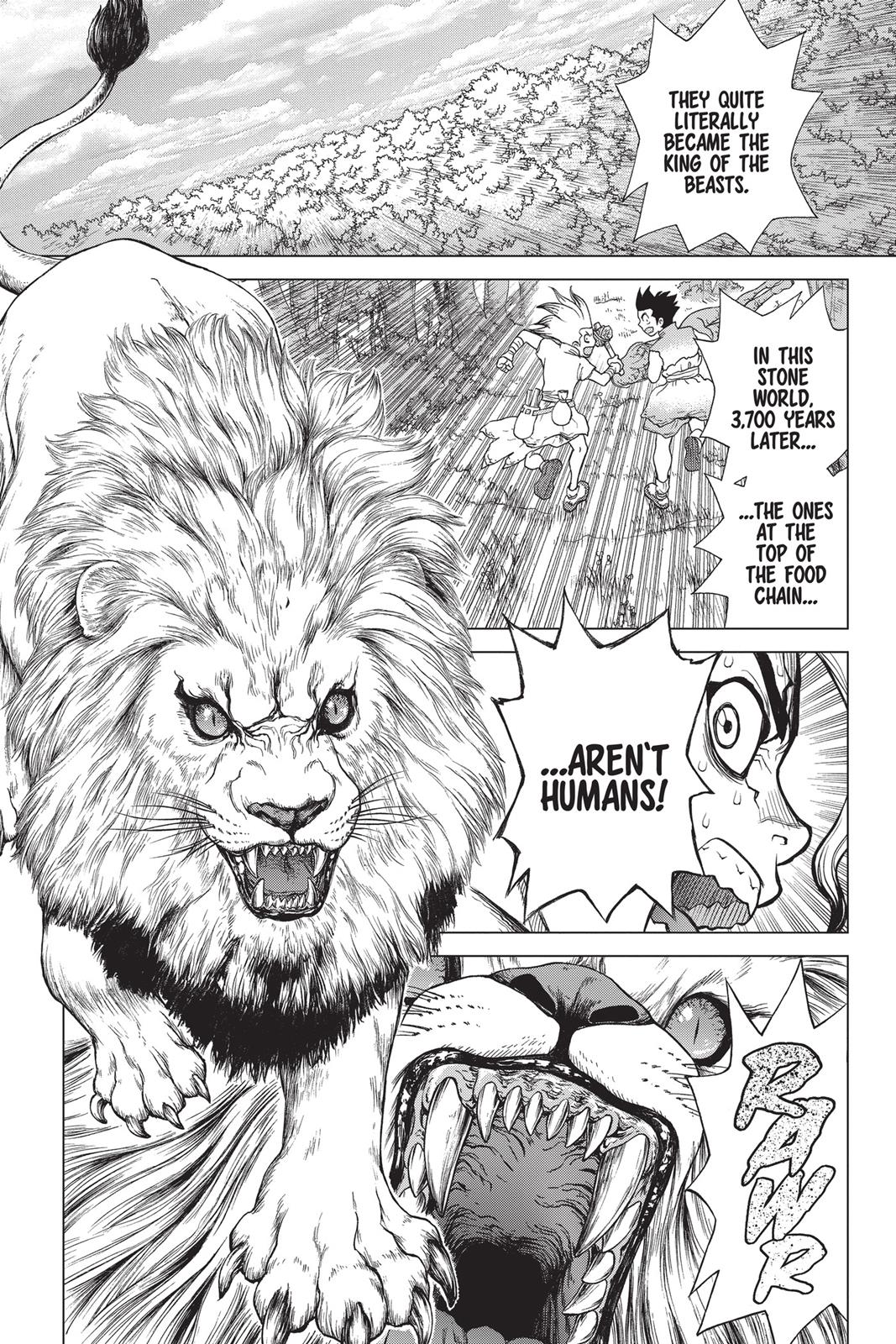 Read Dr. STONE ENGLISH Manga Online