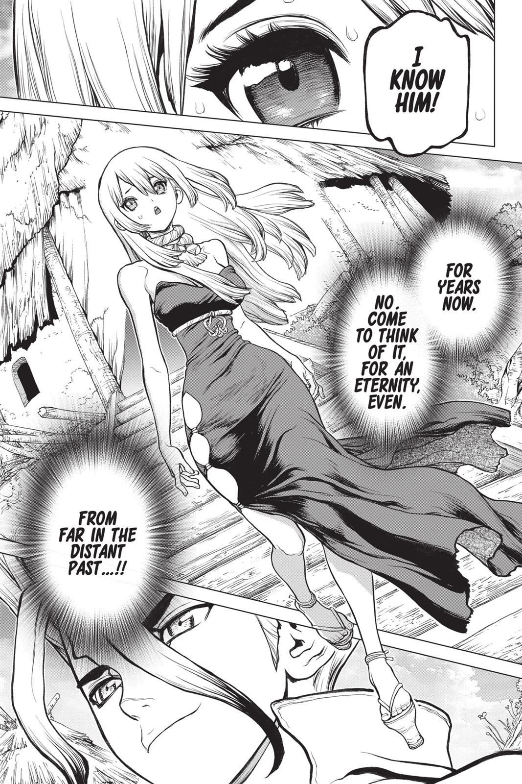 Read Dr. STONE ENGLISH Manga Online