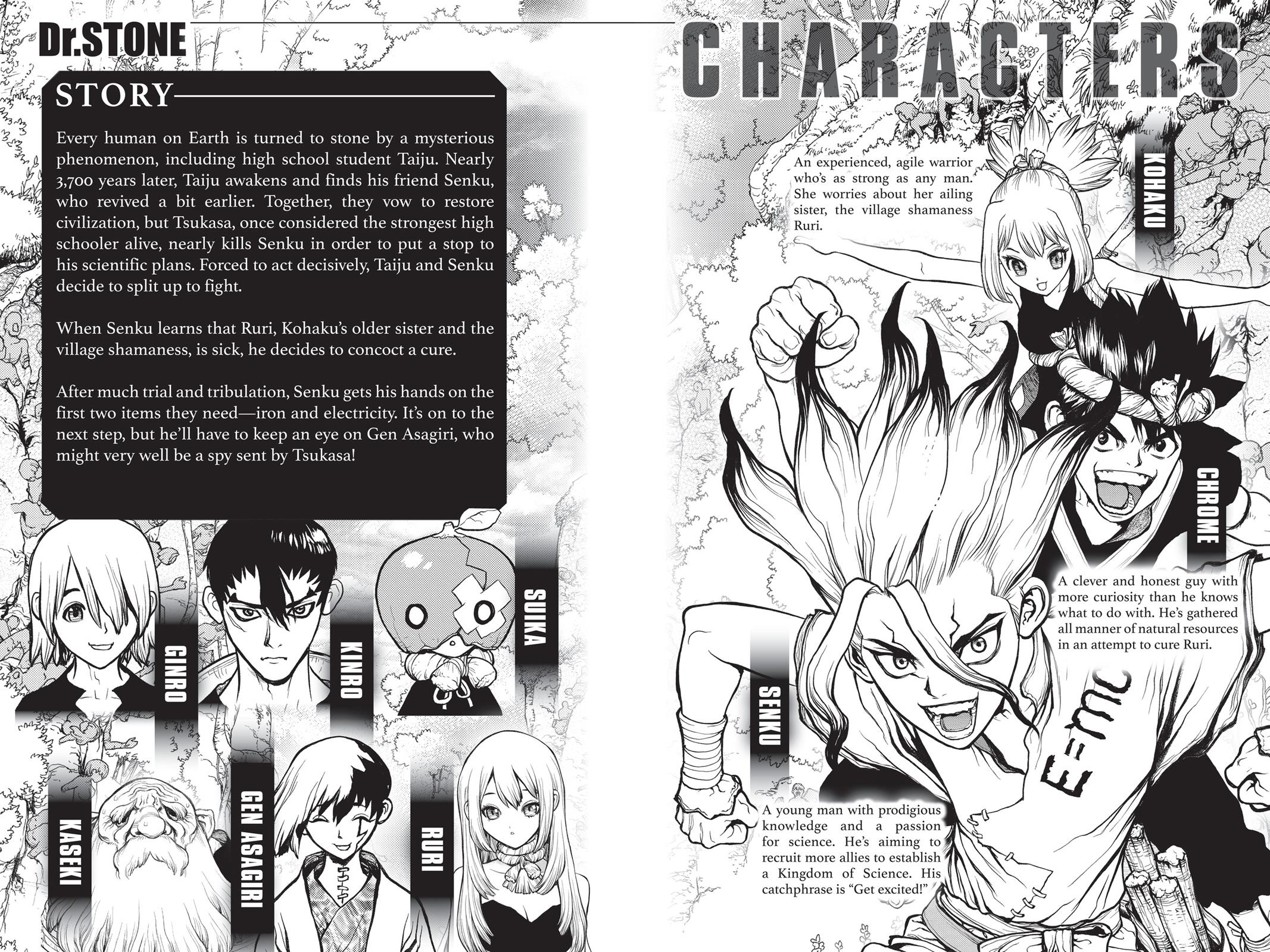 Read Dr. STONE ENGLISH Manga Online