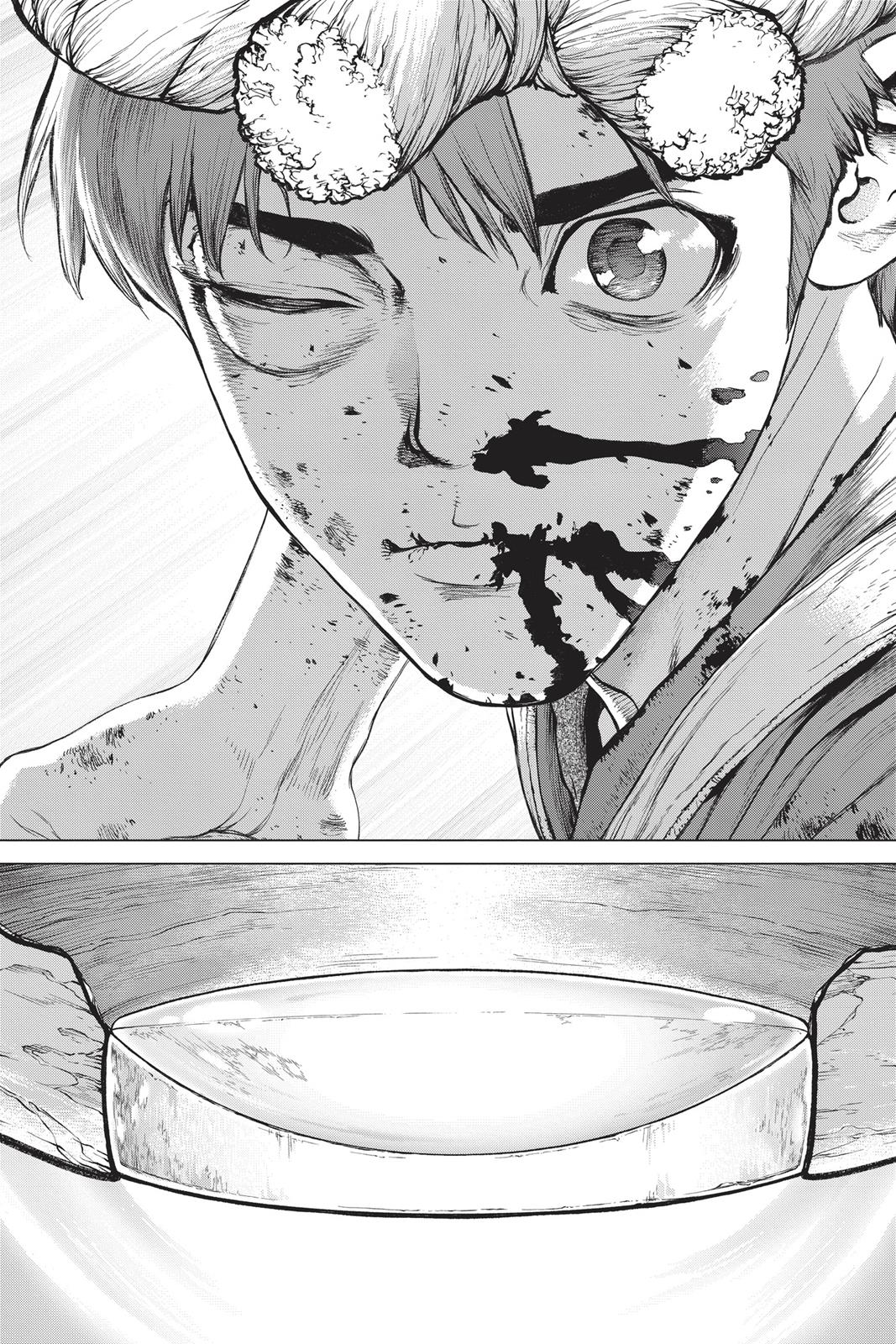 Read Dr. STONE ENGLISH Manga Online