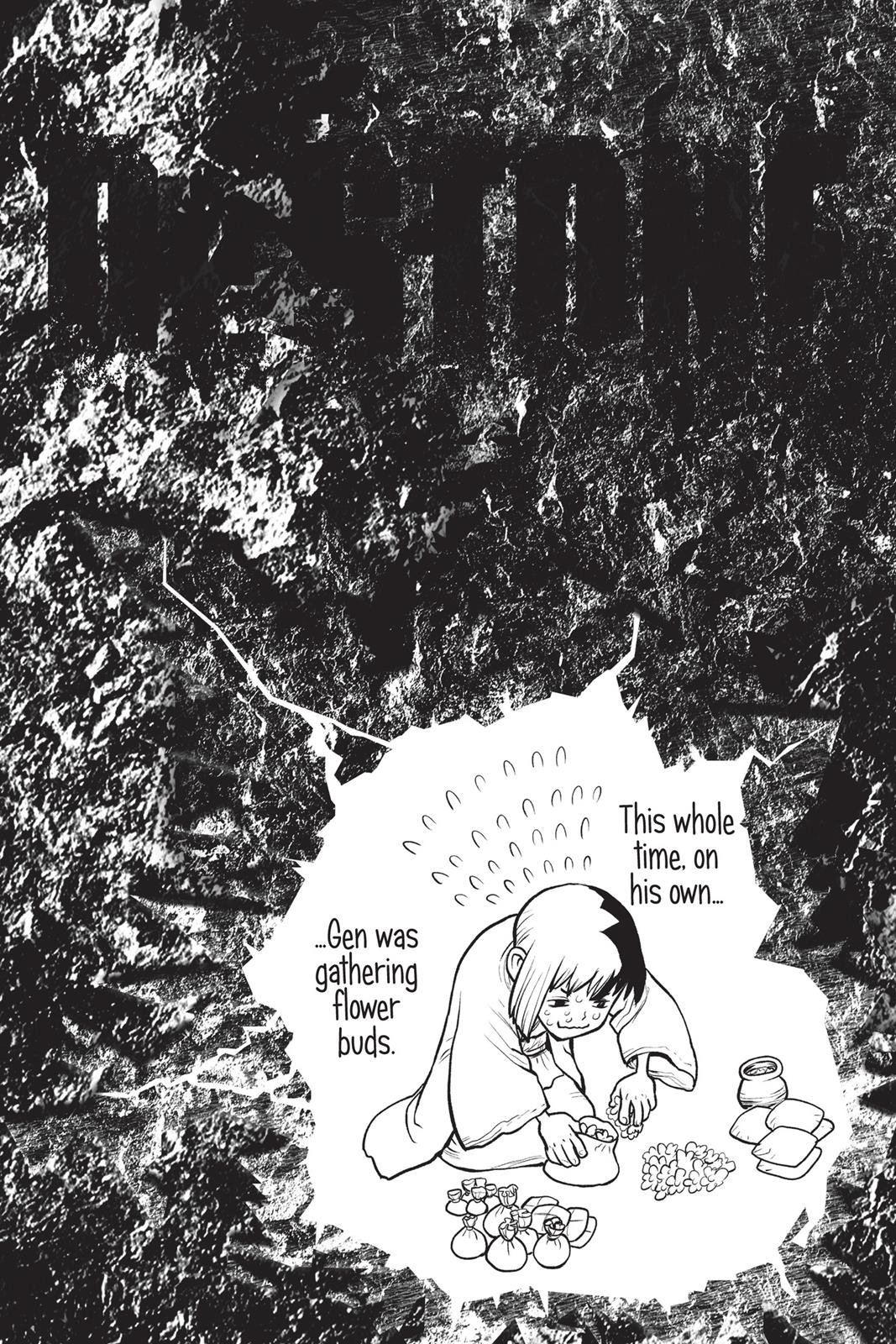 Read Dr. STONE ENGLISH Manga Online