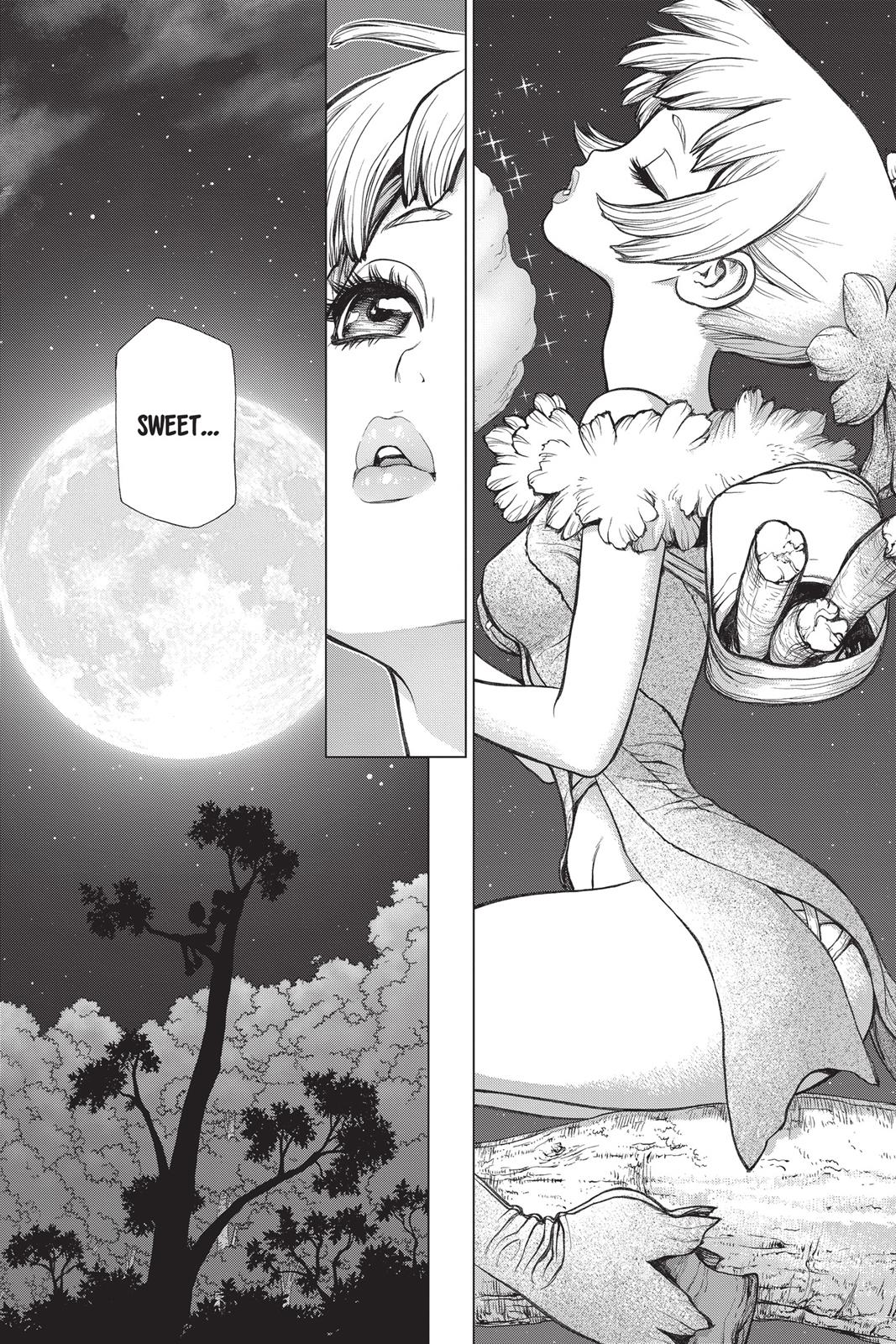 Read Dr. STONE ENGLISH Manga Online