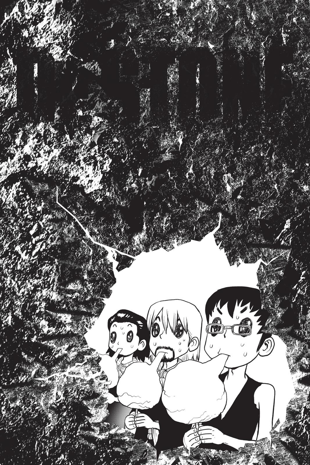 Read Dr. STONE ENGLISH Manga Online