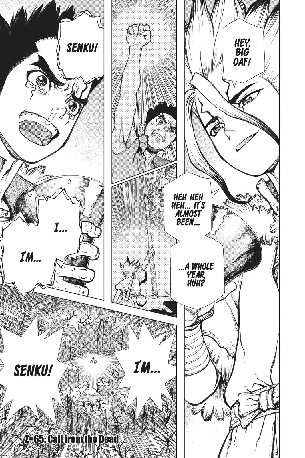 Read Dr. STONE ENGLISH Manga Online