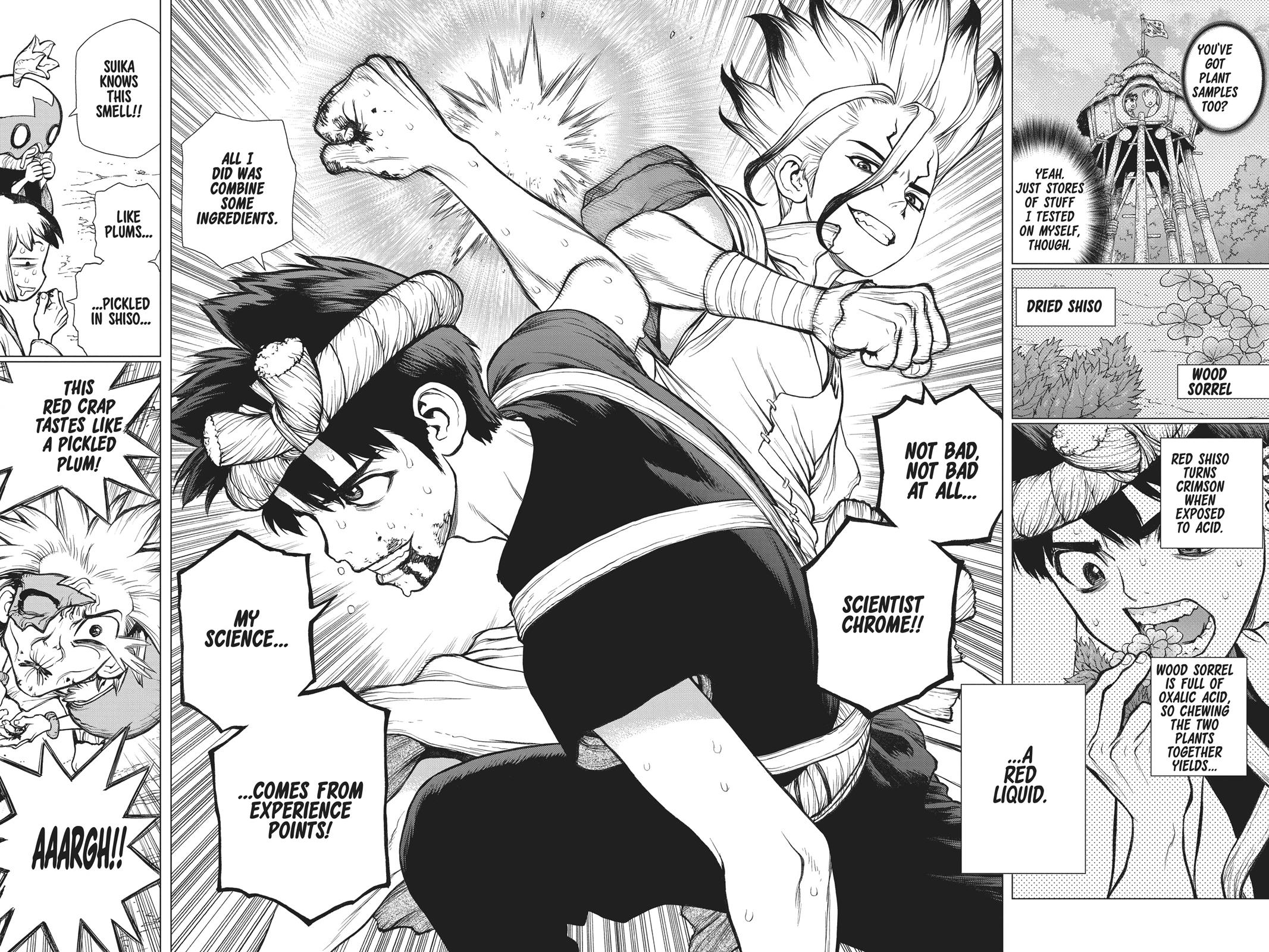 Read Dr. STONE ENGLISH Manga Online