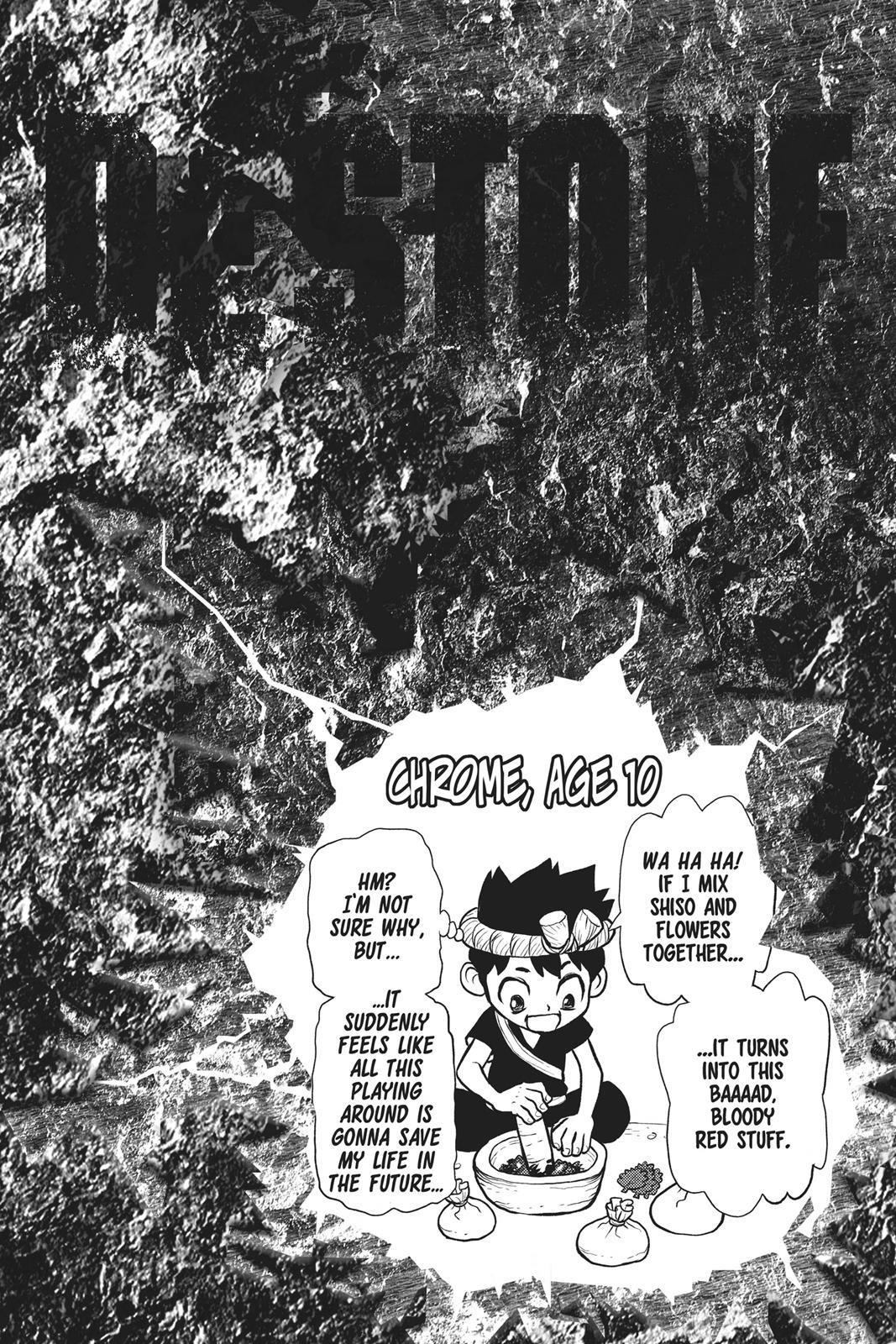 Read Dr. STONE ENGLISH Manga Online