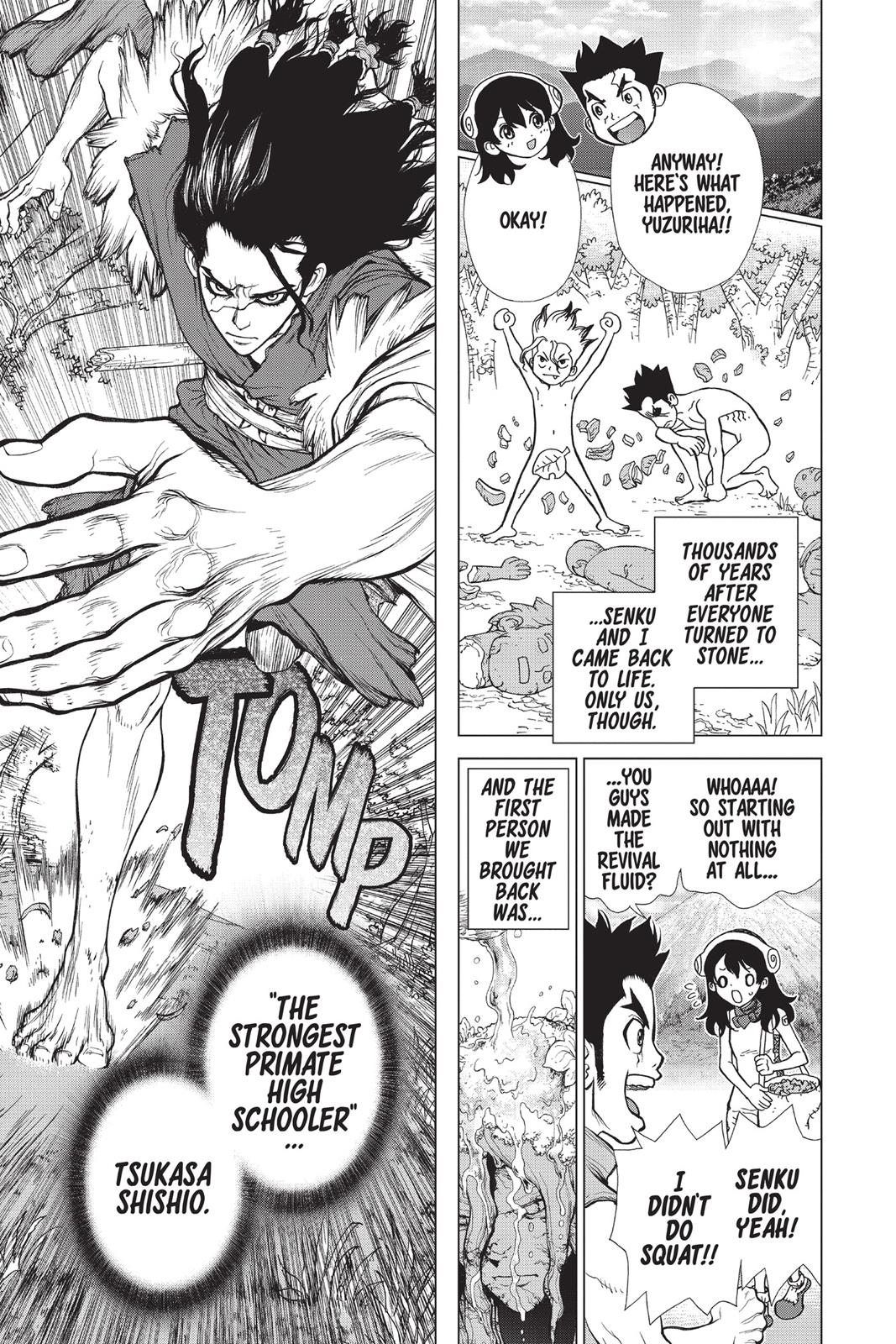 Read Dr. STONE ENGLISH Manga Online