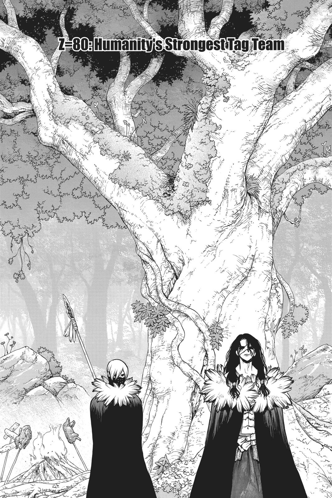 Read Dr. STONE ENGLISH Manga Online