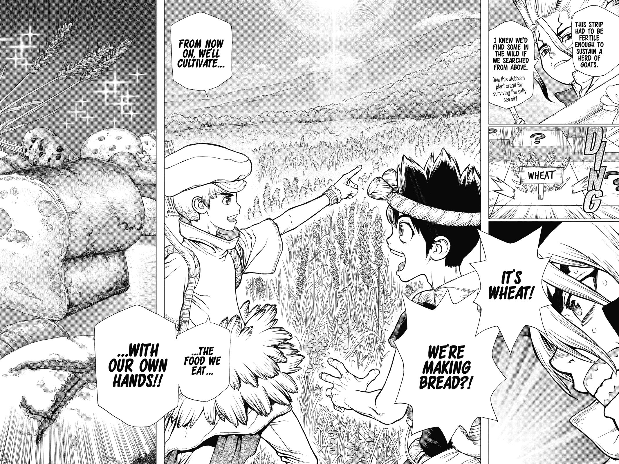 Read Dr. STONE ENGLISH Manga Online
