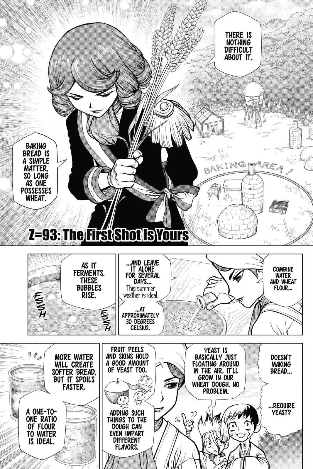 Read Dr. STONE ENGLISH Manga Online